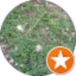 Review From Defrianto Defrianto