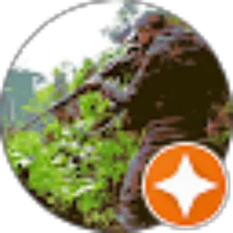 Review From Yd Mardo