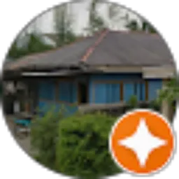 Review From Medi Z