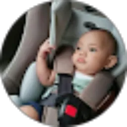 Review From Dian Eko Rini