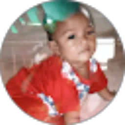 Review From Alimudin Aldisar