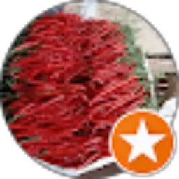 Review From Dodoku