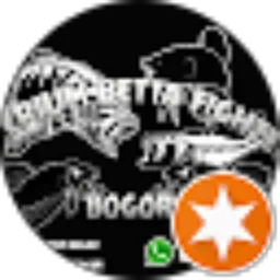 Review From Imperium Betta Fighter Bogor