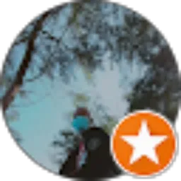 Review From rojikin