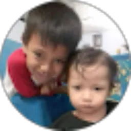 Review From Mohamad Wahyudi