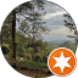 Review From Asbee 5061
