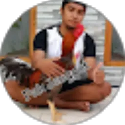 Review From Pak Jenggot