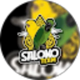 Review From Saloko Team