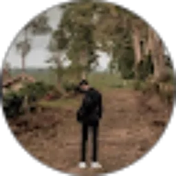 Review From Ghifary