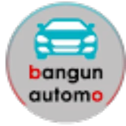 Review From Bangun Automo