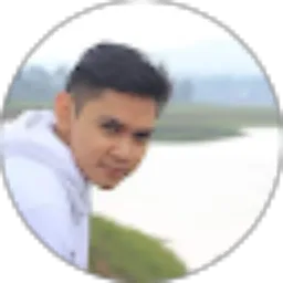 Review From Dinar Effendy