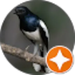 Review From artlover