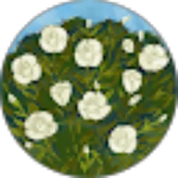 Review From Any Anjas