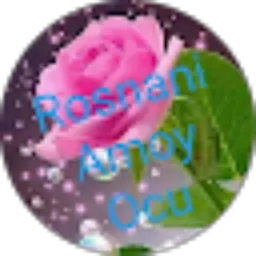 Review From Rosnani
