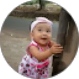 Review From Maman Aulia