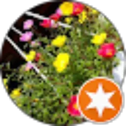 Review From Nooryati Atmojo