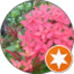 Review From Hilmi Angge Angge