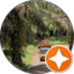 Review From Mulyadi Yadi