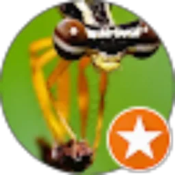 Review From Daniswara