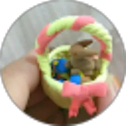 Review From Maya