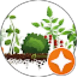 Review From Nasuka