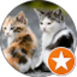 Review From chess _