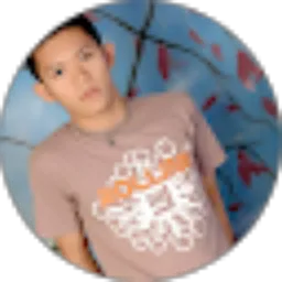 Review From Bima Bagus Pradigdo