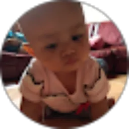 Review From cornelia palin