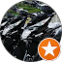 Review From daryono daryono
