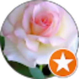 Review From MAY