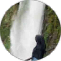 Review From Dian Firdais Pohan