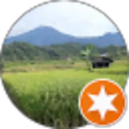 Review From Bambang Bintoro