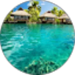 Review From Rianto