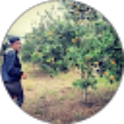 Review From Syarief Cez