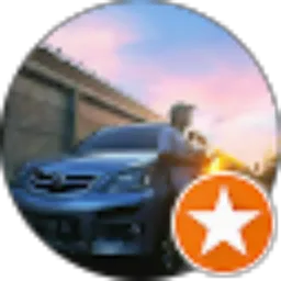 Review From Bogel R