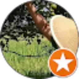 Review From Hary Seven
