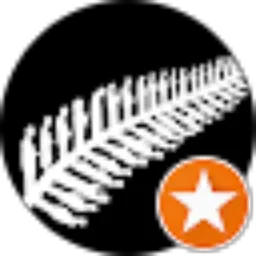 Review From must chips