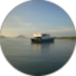 Review From Eddy L