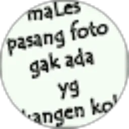 Review From Sarne Dianto