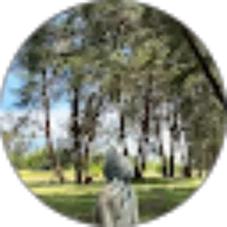 Review From Marianii_