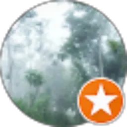 Review From Ari Soekandar