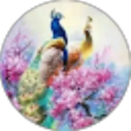 Review From Mei Zheshen