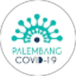 Review From palembang covid19