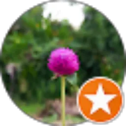 Review From Yumi zayeeda