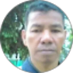 Review From Emil Solaskb