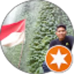 Review From Ryan Puluhulawa