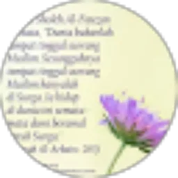 Review From Kusman Bima
