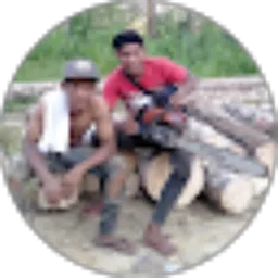 Review From Keong Balap 130 (Palet rimbo)