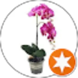 Review From Fatkhurrohman rohman