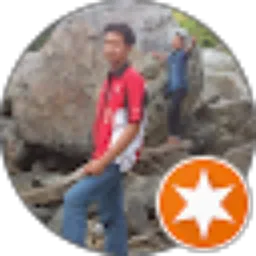 Review From Bambang Wibisono